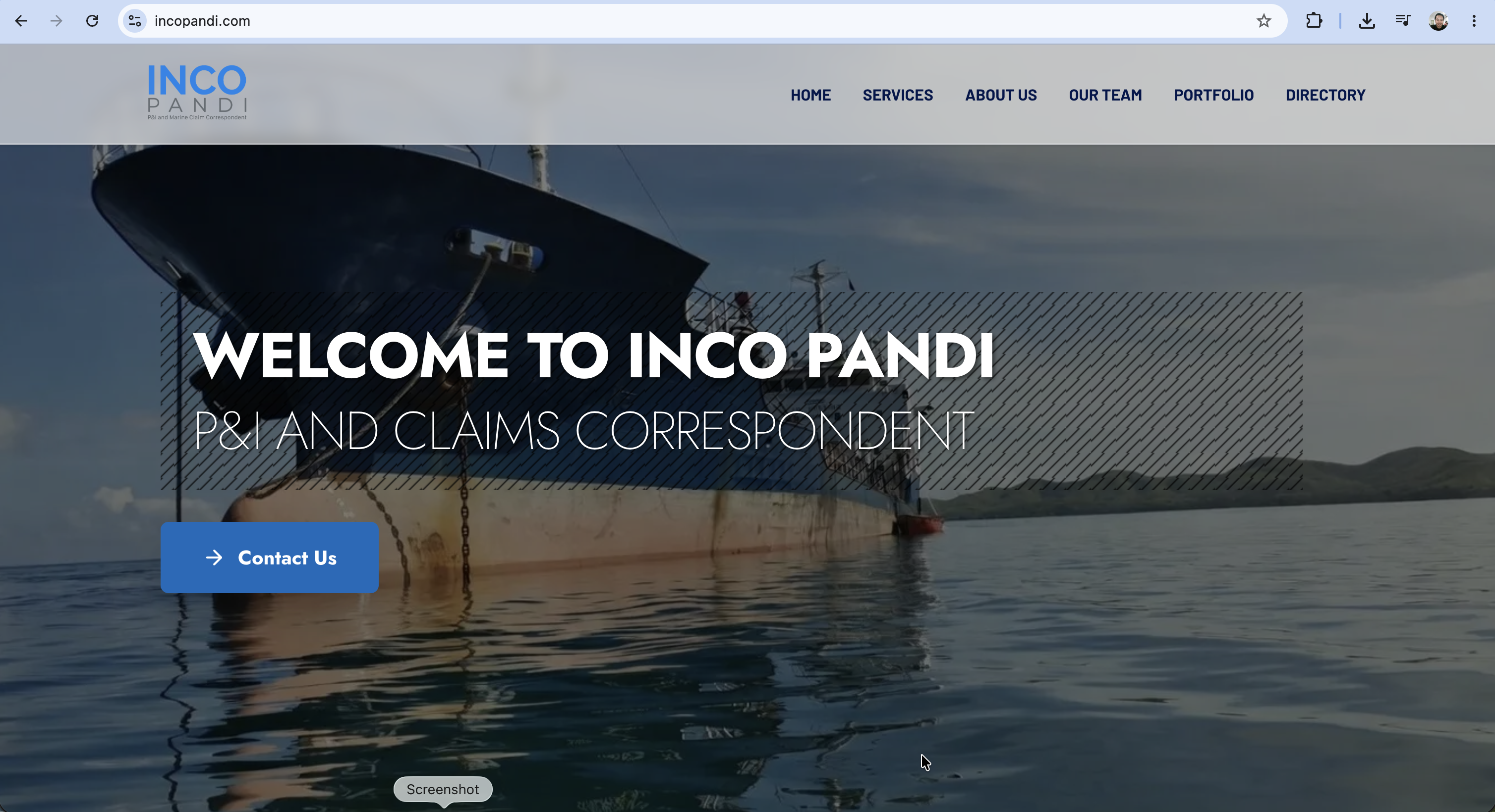 Incopandi Company Profile screenshot